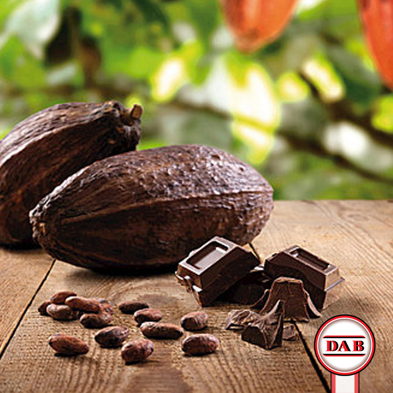 LOACKER-CREMKAKAO__Cioccolata-Cacao__wafer_biscotti__gr-175__DAB-srl__PUBBLICITA__2 - Copia